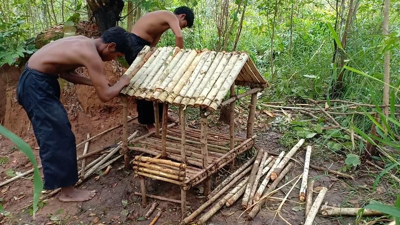 Build Make Amazing Cat Pet House In Wild