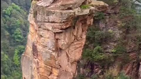 Reach the Peak