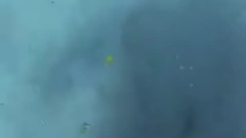 Diver Cracks Egg at 45 ft Deep #Shorts