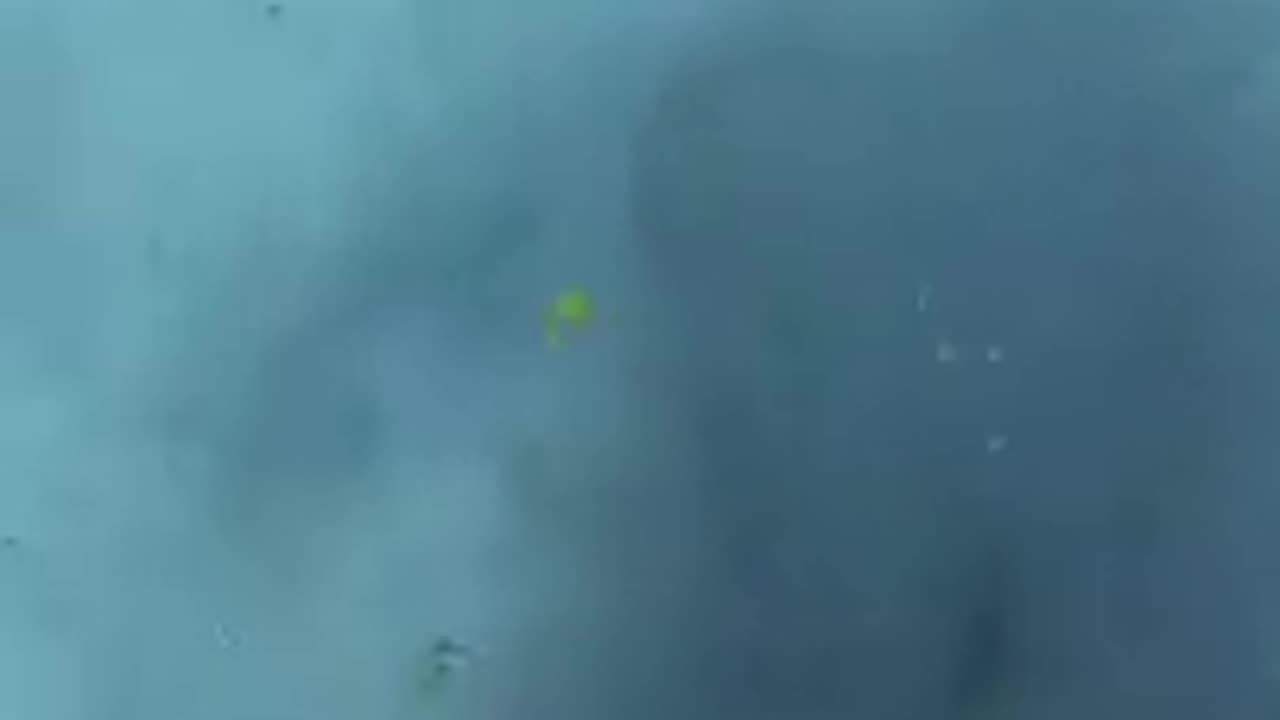 Diver Cracks Egg at 45 ft Deep #Shorts
