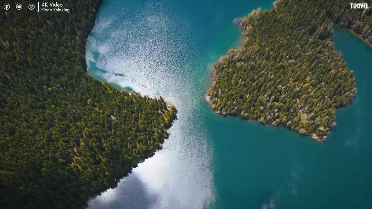 Forest 4K Nature Relaxation Film Relaxing Music