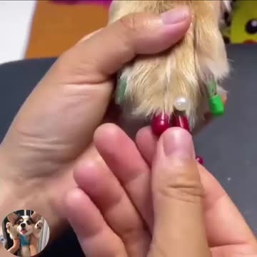 Bored at home, what to do?