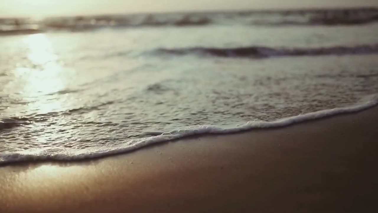Jordan Peterson - The Book That Changed My Life