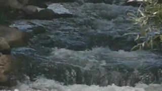 Nature's water steps