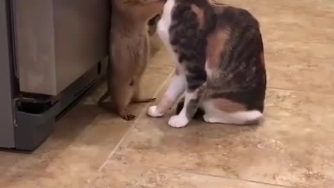 Finding True Love