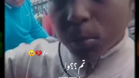 Funny videos