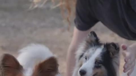 best video #short video
