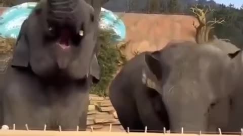 TRUMP 2023-2024 AND BEYOND TO 2030