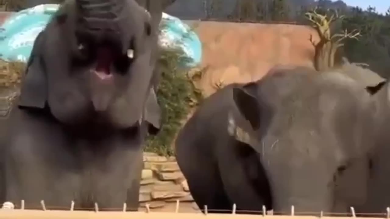 TRUMP 2023-2024 AND BEYOND TO 2030