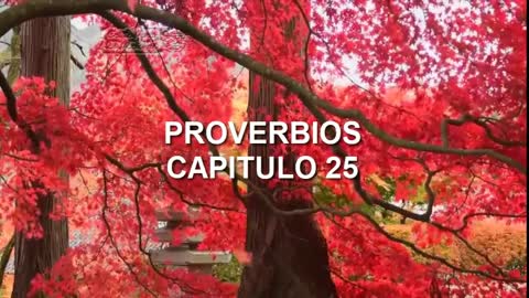 PROVERBIOS 25