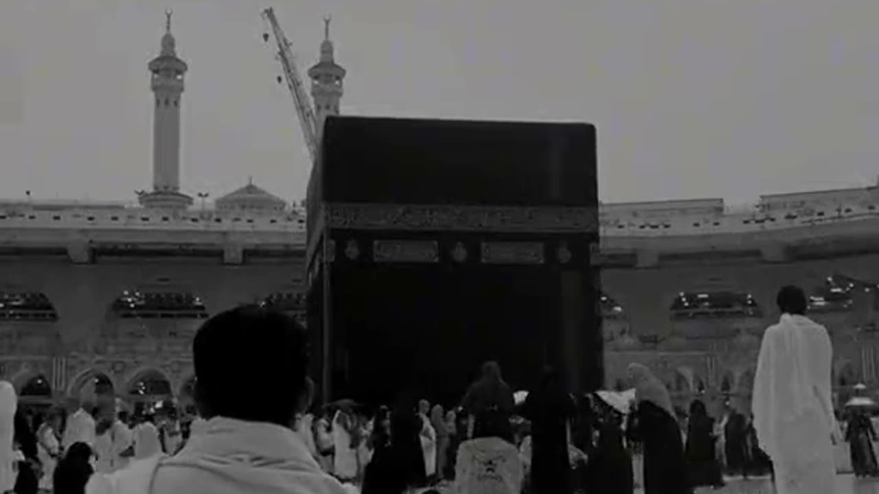 Islamic video #islamic short status naseed