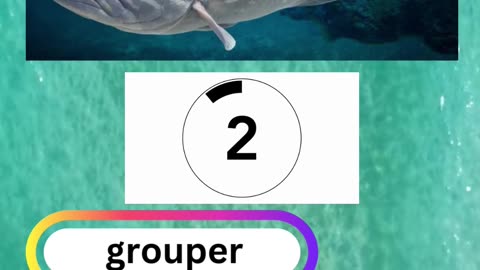 Fish Frenzy 16 A fast-paced quiz
