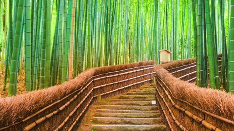Kyoto, Japan