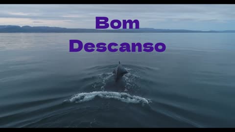 Som de Piano com imagens de Peixes