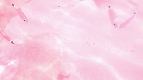 Ocean Waves Animated Background