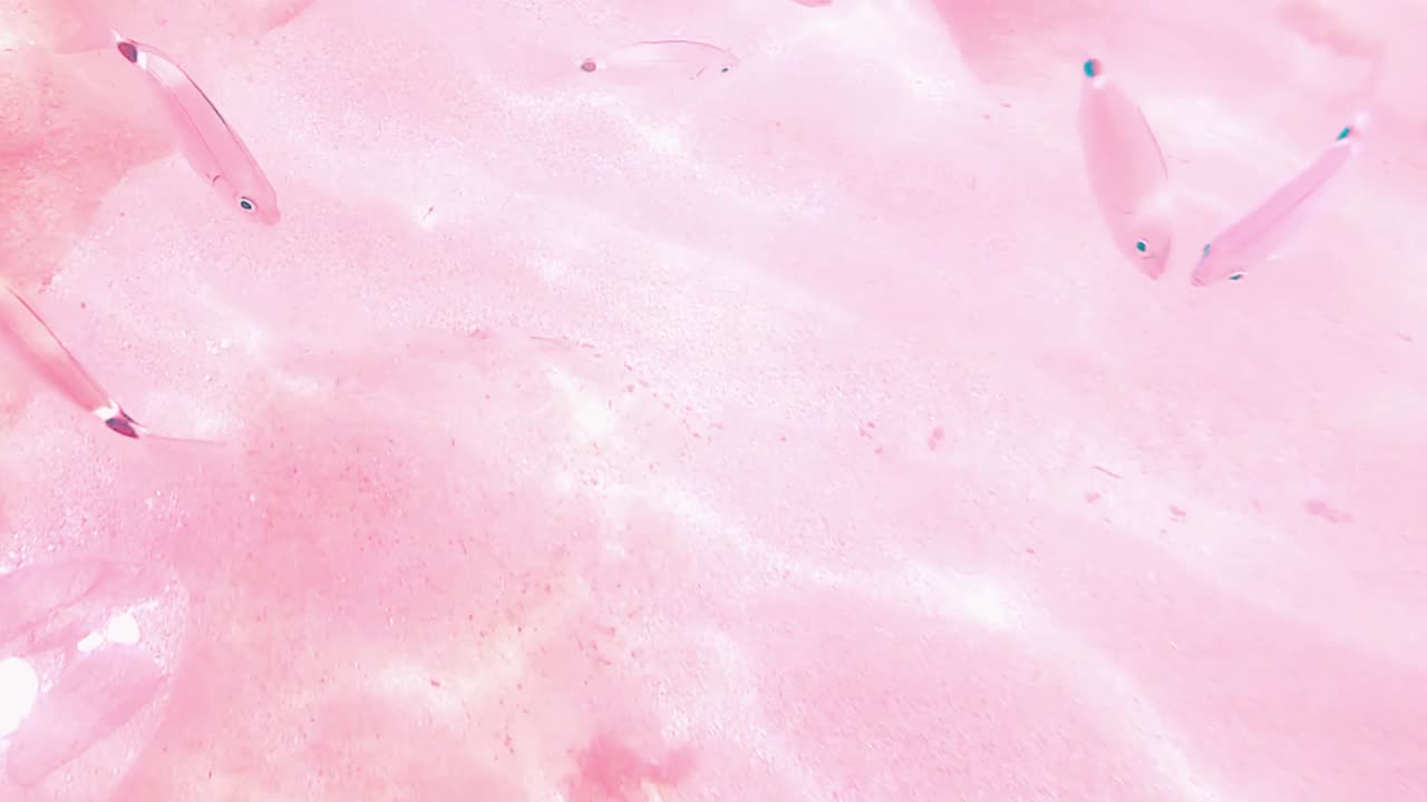 Ocean Waves Animated Background