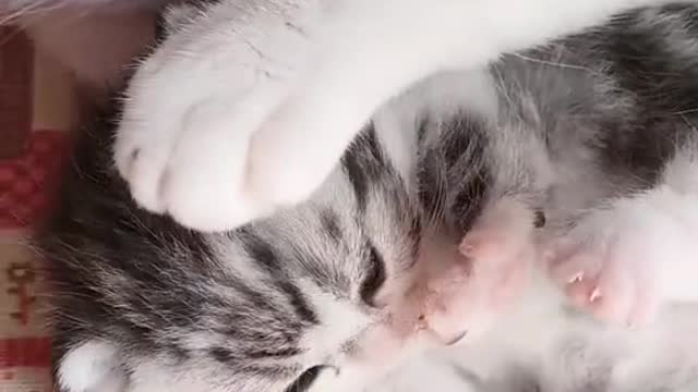The love of mother.