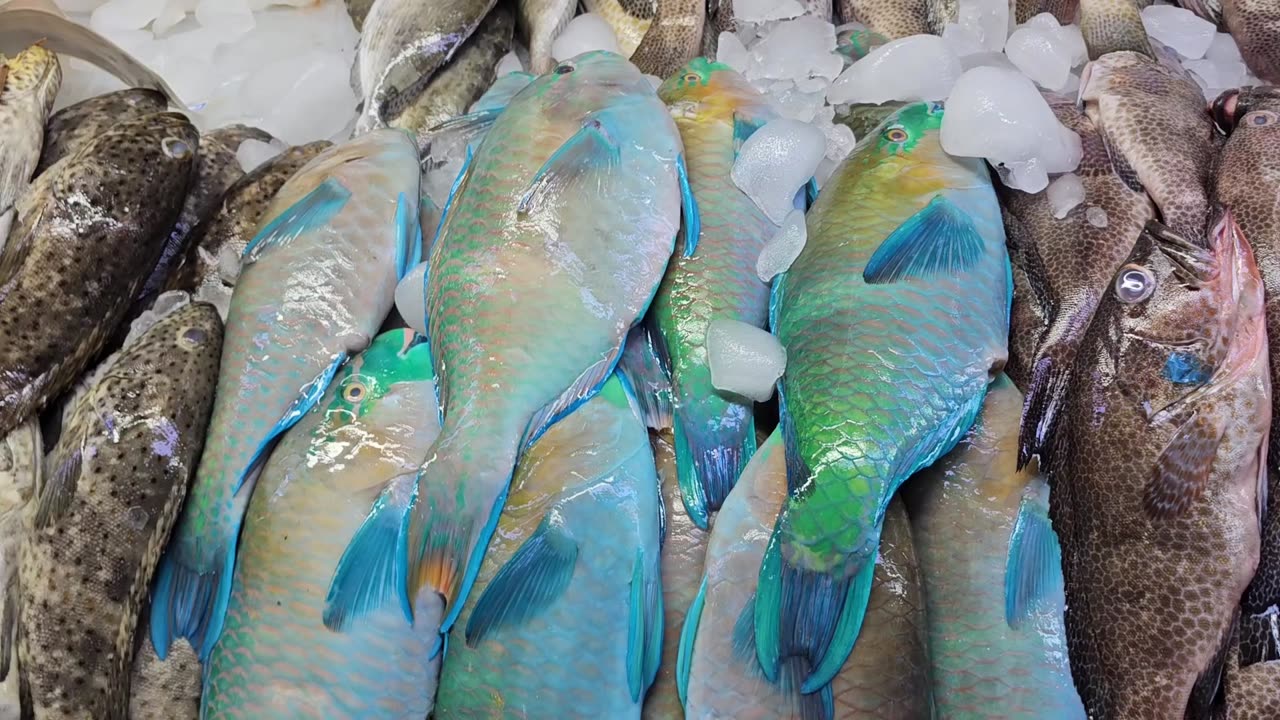 Fish | Fish Markit | Big Fish Markit