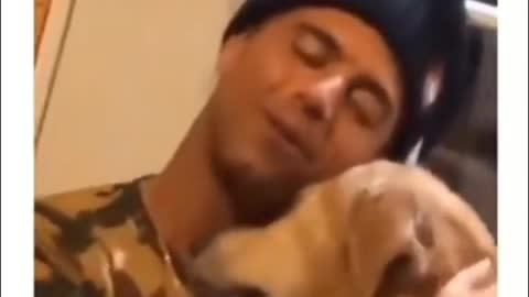 A dog's daily routine