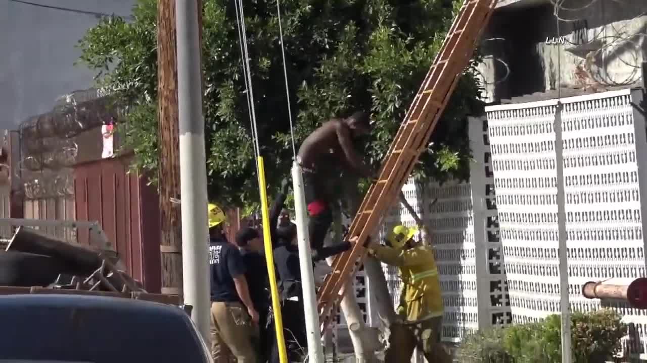 Suspect Jumps Roof To Roof, Crowd Fights with LAPD