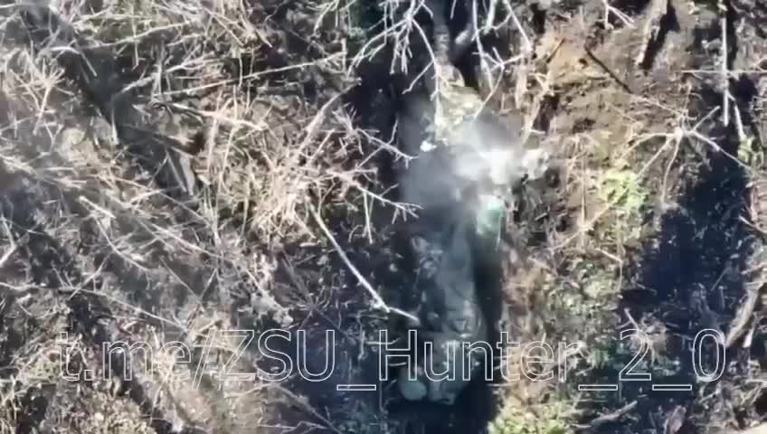 I think Mykola did not make it.