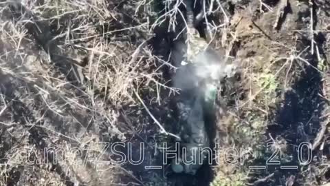 I think Mykola did not make it.