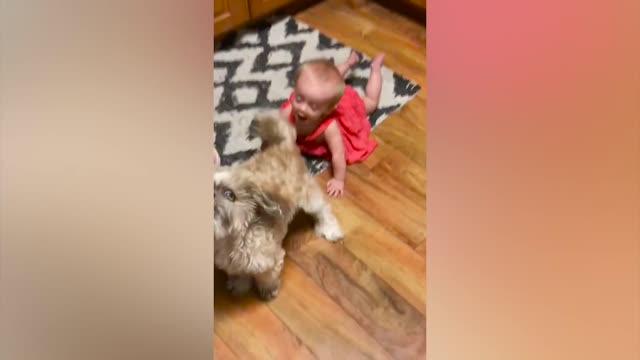 Cute Baby Playing With Dog Compilation - Baby and Pets Video