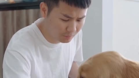short film : why not love me