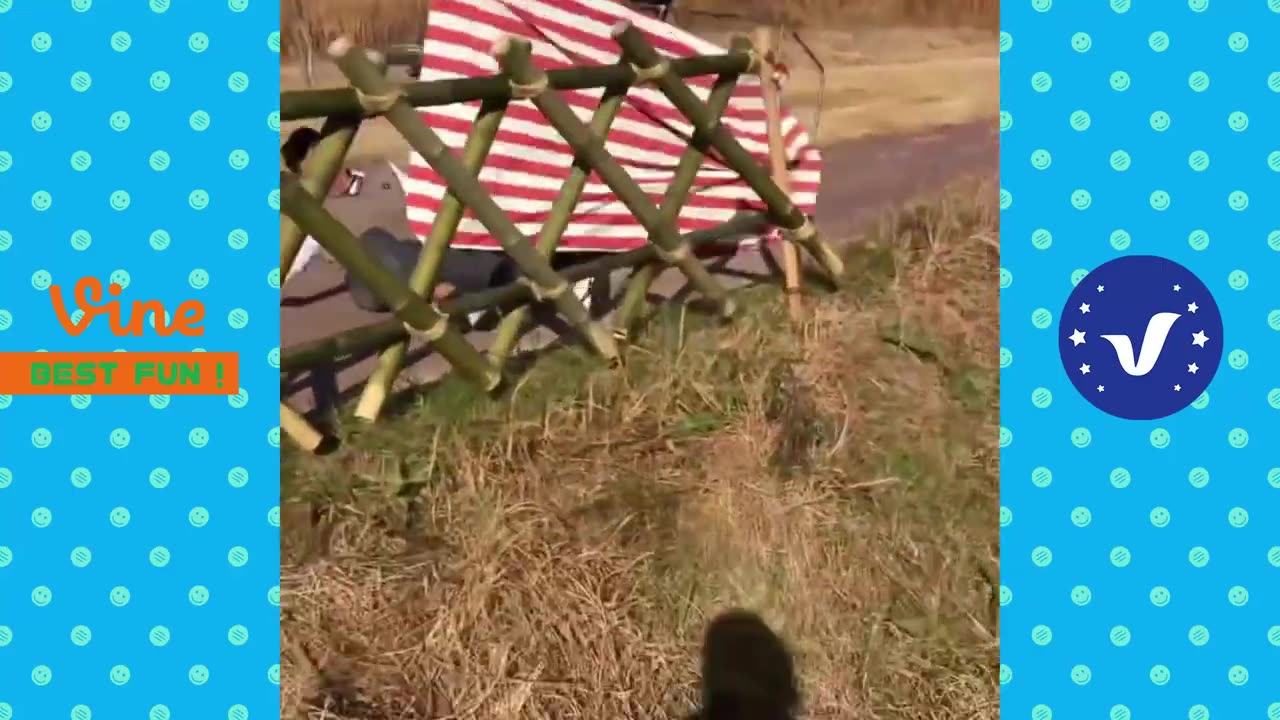 New Funny and Fail Videos 2023 😂 Cutest People Doing Funny Things 😺😍 Part 28