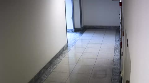 6102RHOBGRSECorridornearStair8_2021-01-05_02h20min00s787ms.mp4