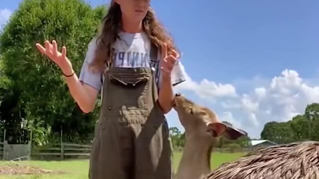 The monkey’s smile after it almost fell, so cute!