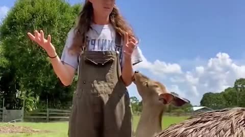 The monkey’s smile after it almost fell, so cute!