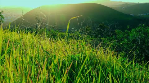 3 MINUTES MEDITATION , HEALING MUSIC , STUDY MUSIC , SLEEP MUSIC