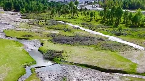Nattlar Valley Northern Area Pakistan