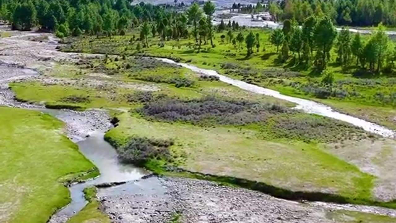 Nattlar Valley Northern Area Pakistan