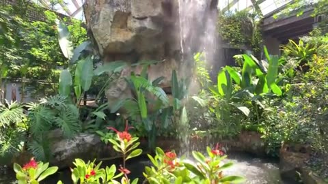 Big video in the nature video
