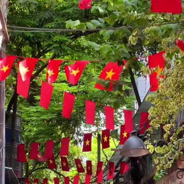 Vietnam national flag (Part 3)