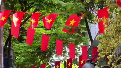 Vietnam national flag (Part 3)