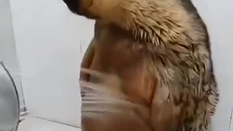 funny memes fails