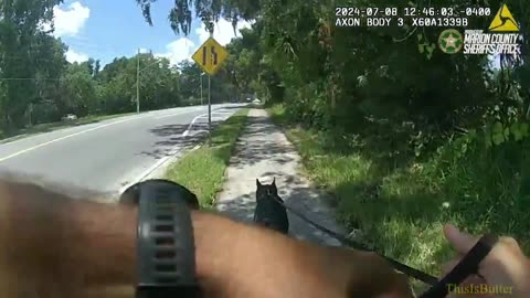 Marion County Sheriffs release bodycam of K9 King tracking down a battery suspect