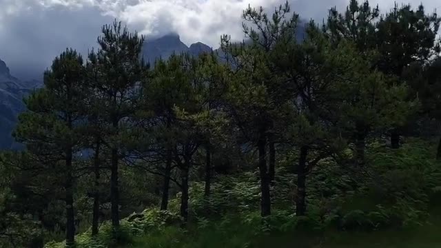 refreshing mountain stream