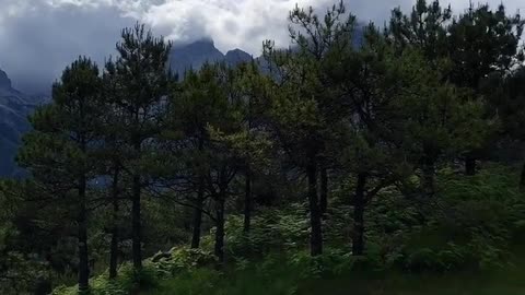 refreshing mountain stream