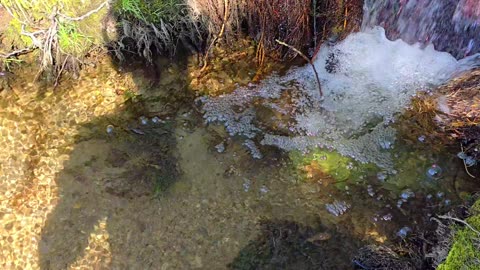 Beautiful water source in the forest / fresh water in nature.