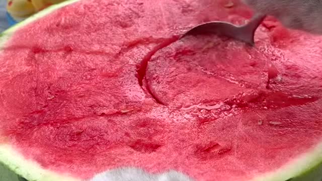 great video