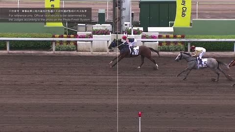 Horse_Race_2022060501_Chinese