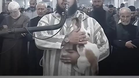 Viral: Cat Jumps On Imam During Ramadan Prayers