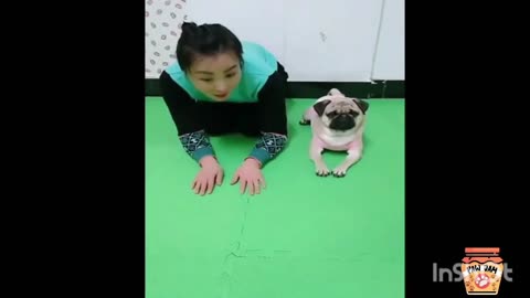 Funny animals, cute cat's and dogs, cute pets, funny pets