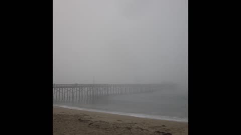 Fog 41