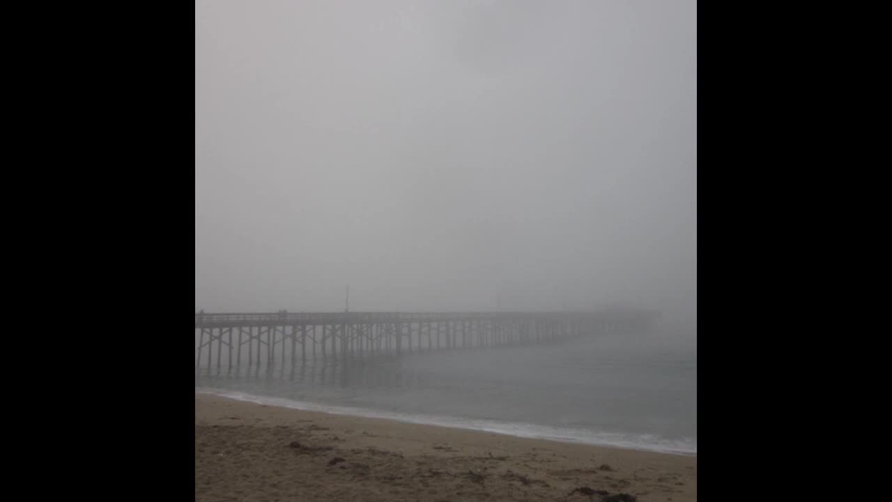 Fog 41