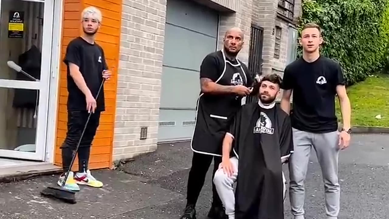 funny videos